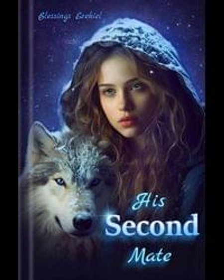 Cover of HIS SECOND MATE