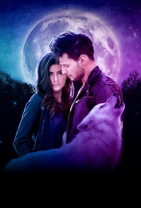 Cover of The Alpha's Surrogate